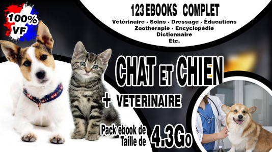 Chat et Chien